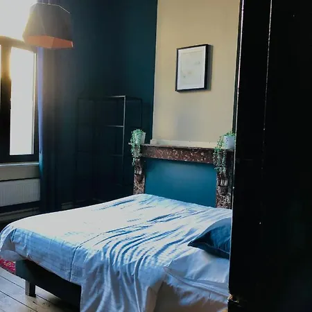 Bacchus - & Apartmanhotel Antwerpen