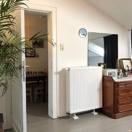 Apartmanhotel Bacchus - &