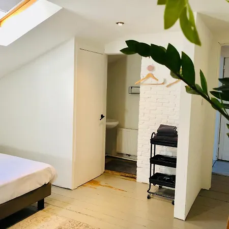 Bacchus - & Apartmanhotel 2*